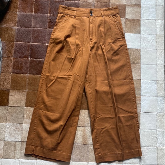 Madewell Wide-leg Pleated Pants, Burnt Sienna - Picture 3 of 7